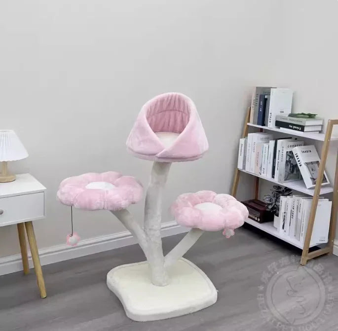 S139c864bf463441697fc9fff8d722093y