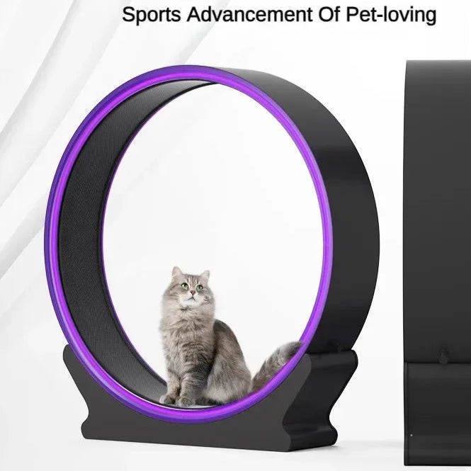 S2fd15386617e486abf6ac4be0f256abaY