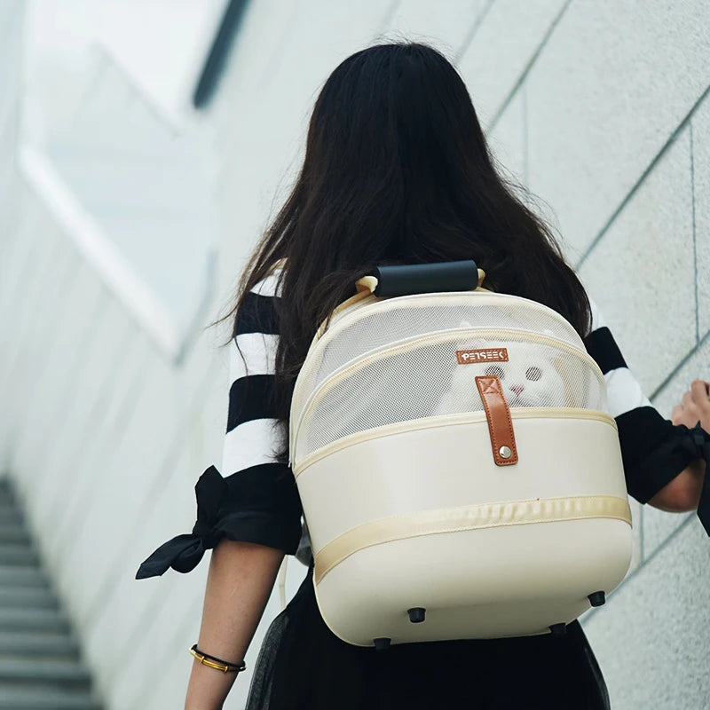 S3aed6817006444c89da489b8ca1e9193T