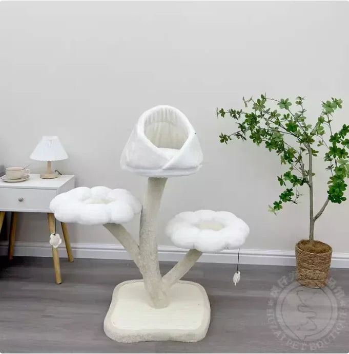 Sa76b399f8e63414ca79cfd0010a88b25B