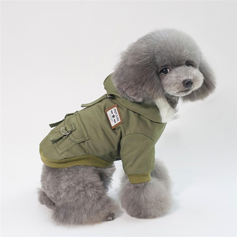 manteau Casquette  pour petit chien