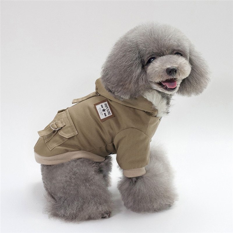 manteau Casquette  pour petit chien