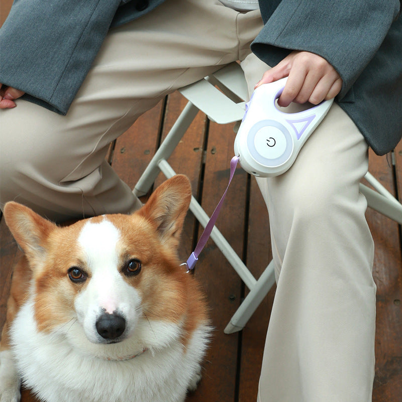 Laisse Pour Chien Laisse Rétractable Et Collier De Chien Projecteur Corde De Traction Automatique