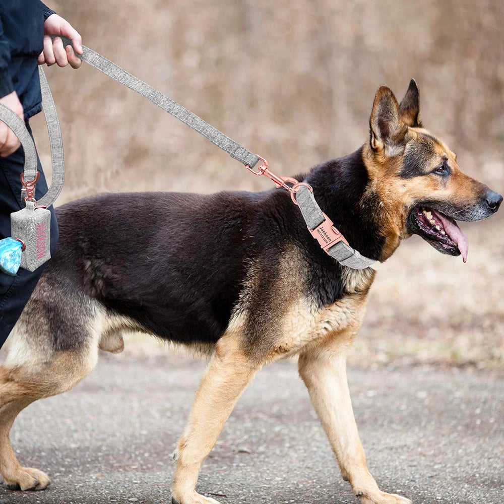 Ensemble de laisse de collier de chien personnalisé Sac pour animaux de compagnie