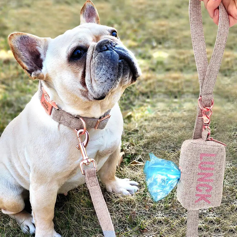 Ensemble de laisse de collier de chien personnalisé Sac pour animaux de compagnie