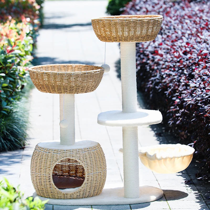 S16778408196d461a9b904279d1a24989c