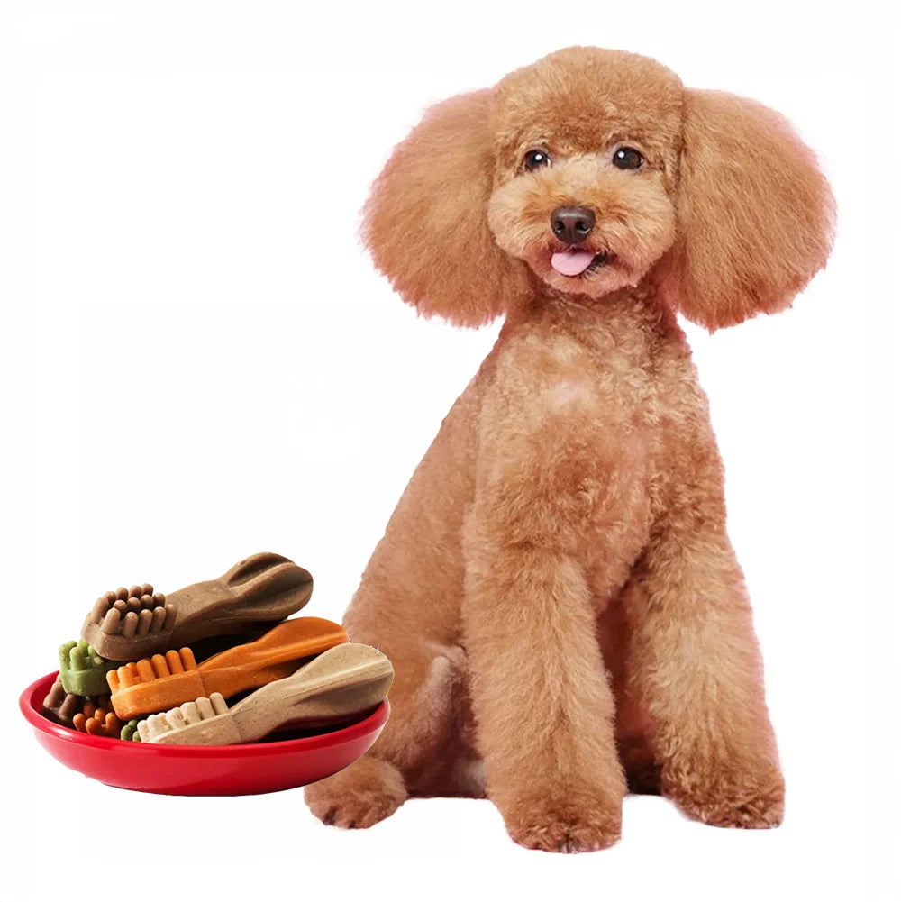 S2464981a5a0243c3aa21a4ca8c2d13dd0