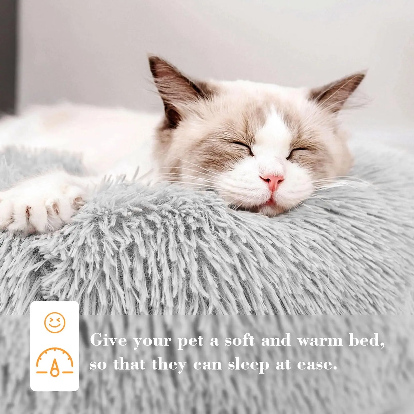 S451af8d239b44038a485cacfd03e5097n