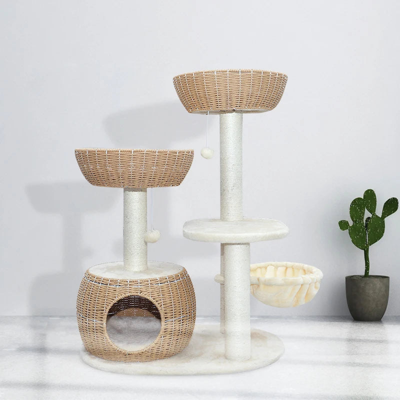 S53842ec82b0042a5bb6ae666751f7505Q