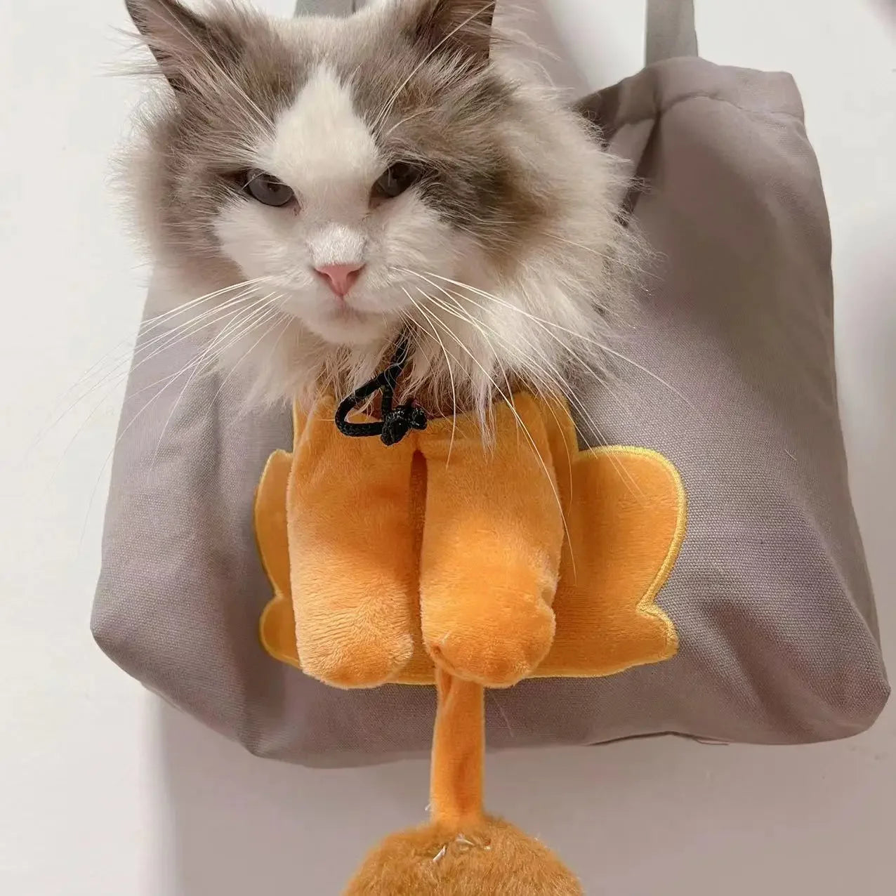 S56ee0306319a4b5eb68fff52db0ee3e31