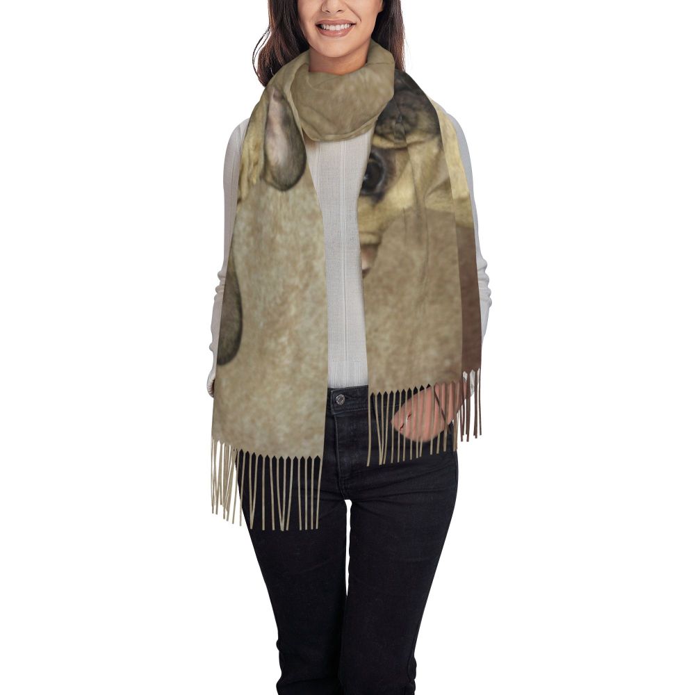 écharpe femmes hommes hiver automne chaud foulards Frenchie chien animal châle Wrap