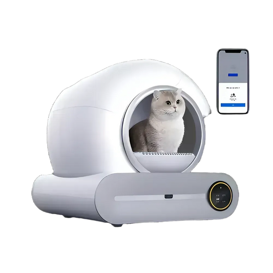 b870e4e2-34ac-4326-ac84-798cf456dc7c